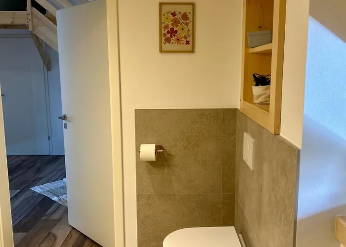 Urlaub Am Schwarzbach Mit Sauna Und Whirlpool Haus Johanna Apartment *